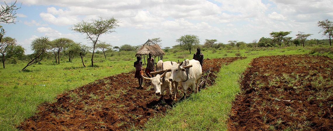 Empowering Women Through Climate-Resilient Finance